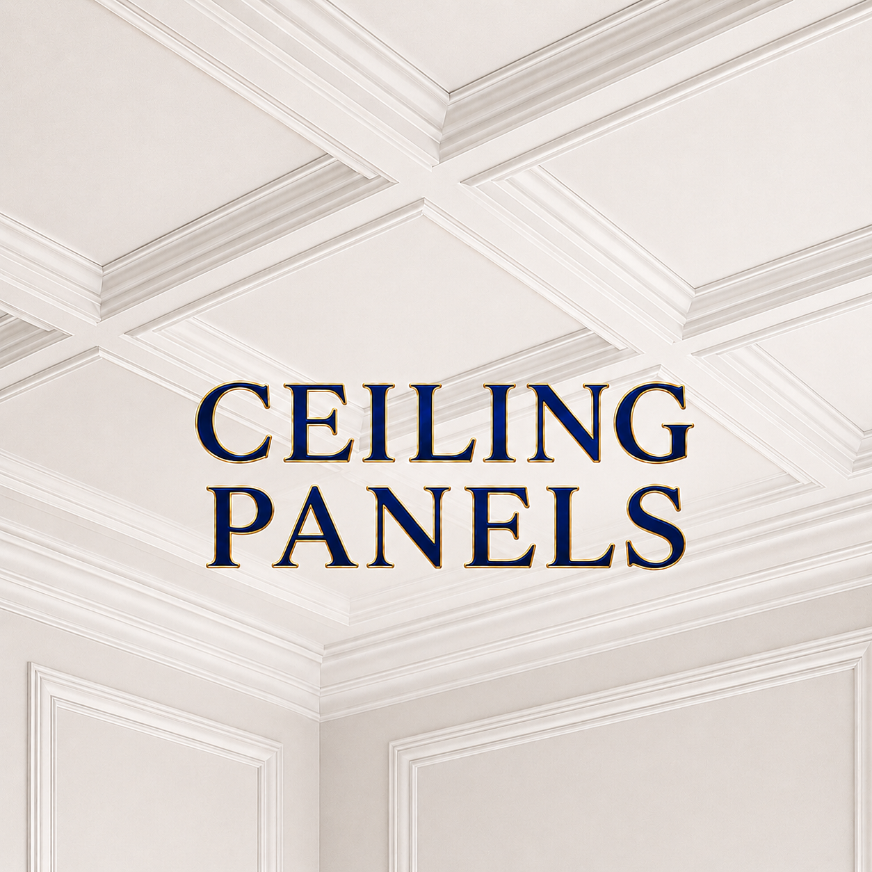 CEILING PANELS