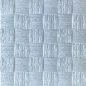 Ceiling Panels