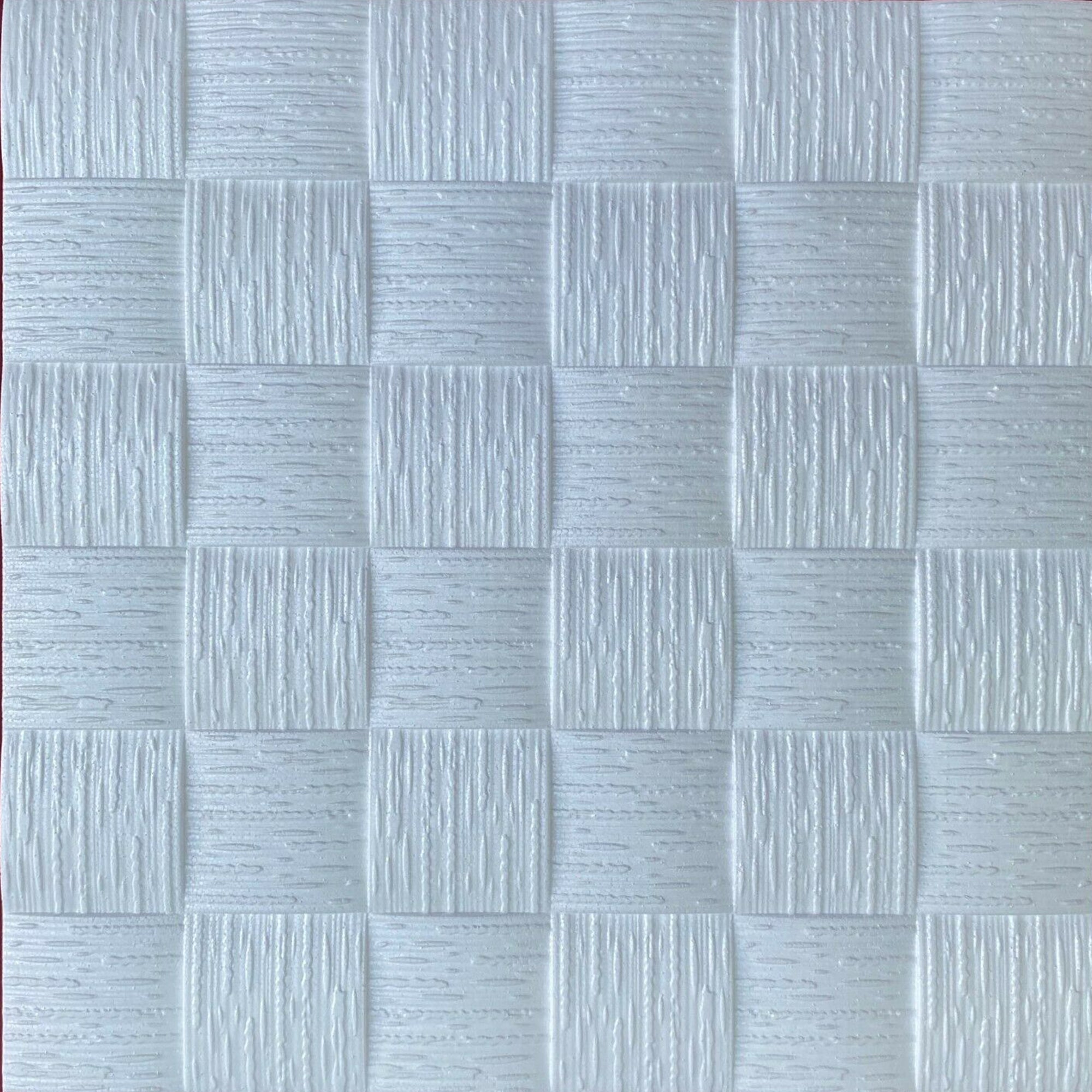 Ceiling Panels