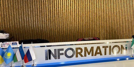 PANELING FOR WALL AND CEILING DECORATION - POLYMER RAW MATERIAL - DV120-AA 12 cm