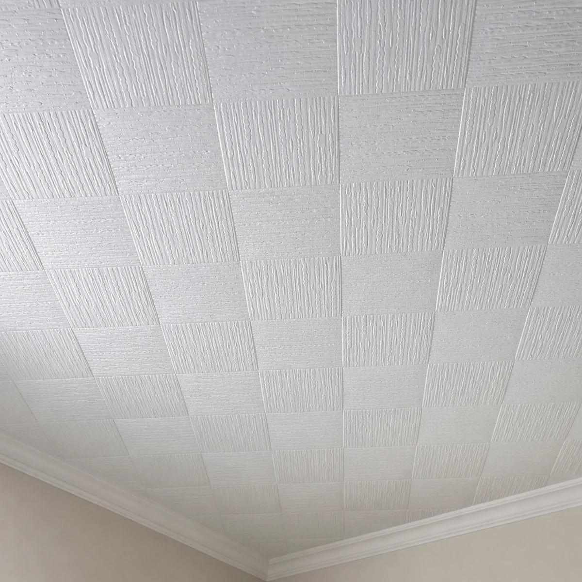 Ceiling Panels
